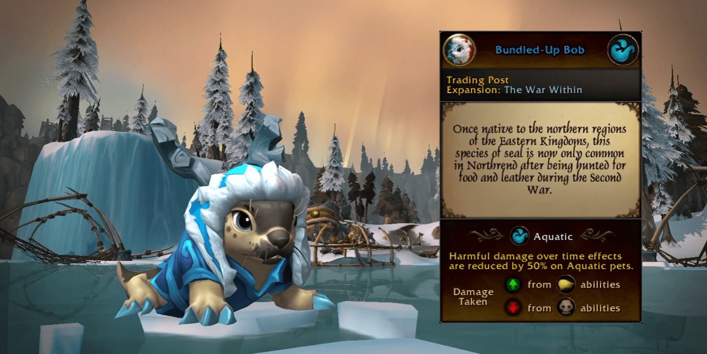 pml-images/bundled-up-bob