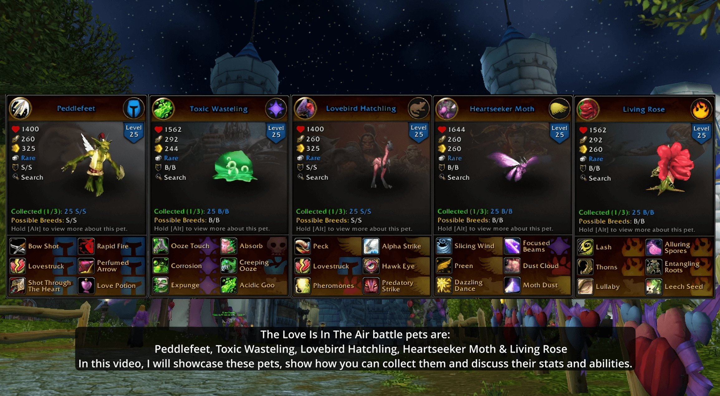 pml-images/love-pets