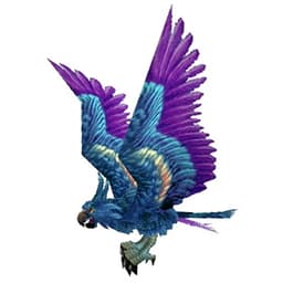 Hyacinth Macaw
